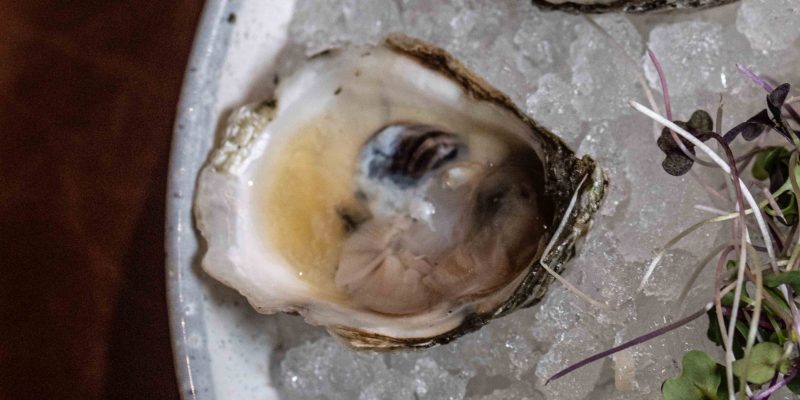 Photo Oct 19 2023 1 11 31 PM 1 scaled