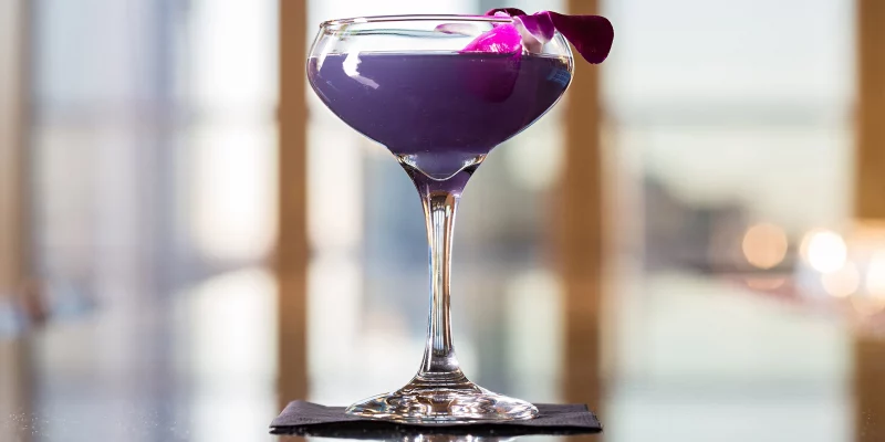 A vibrant purple Aviation cocktail in a coupe glass is garnished with a fresh orchid at Fahrenheit Charlotte in Charlotte.